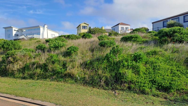 0 Bedroom Property for Sale in Jongensfontein Western Cape